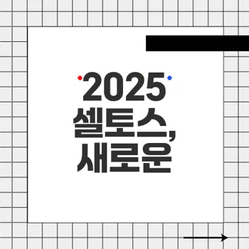 2025셀토스 연식 변경 모델, 고객 선호 사양 기본화